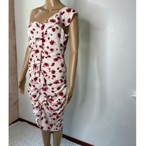 Medium Lucy Paris Poppy Dress